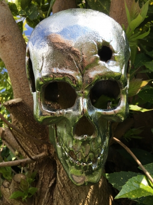 Large Anatomical Skull - Cast Iron - Chrome Nickel